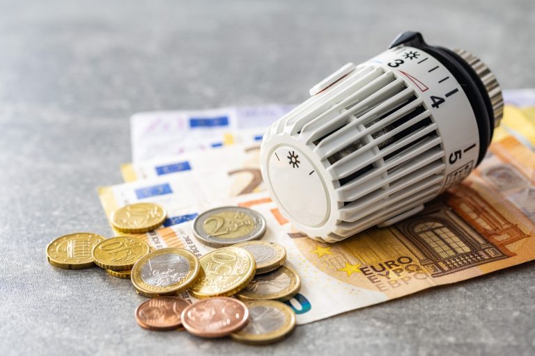 Thermostatic head and Euro money. Banknotes and coins.